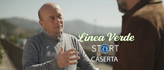 Caserta protagonista su Rai1: il racconto dell’artigianato attraverso lo sguardo di Confartigianato